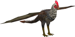 Cockatrice (Z-Studio)