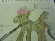 Lord KirschHeels pony ID-1-