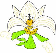 Lisseliare