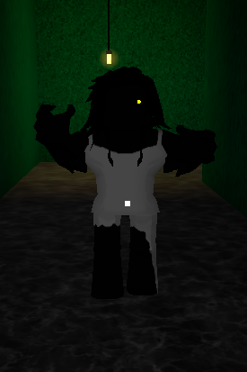 Identity Fraud Roblox Characters