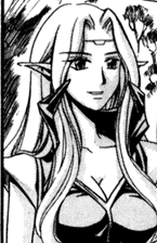 High Elf Elder