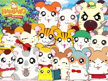 Hamtaro3