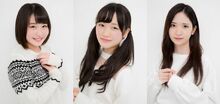 Palet-member-696x329