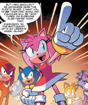 Amy Rose | IDW Sonic Hub | Fandom