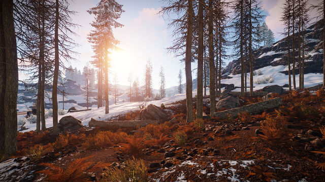 Файл:Rust 3.jpg