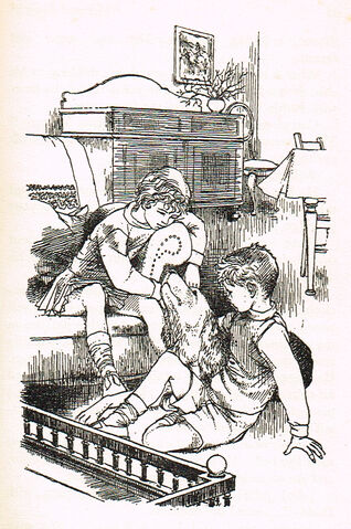 File:CAM04.jpg