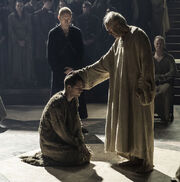 Loras e l'alto passero 6x10