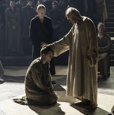 Loras e l'alto passero 6x10