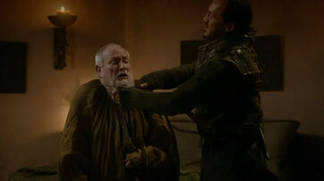 Pycelle Bronn barba