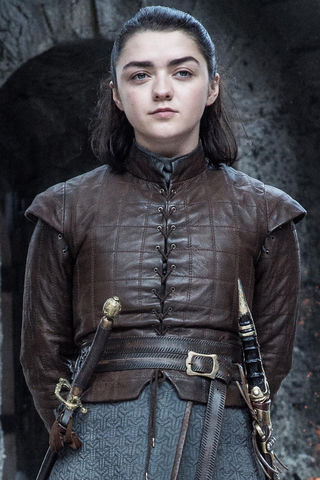 Risultati immagini per arya stark