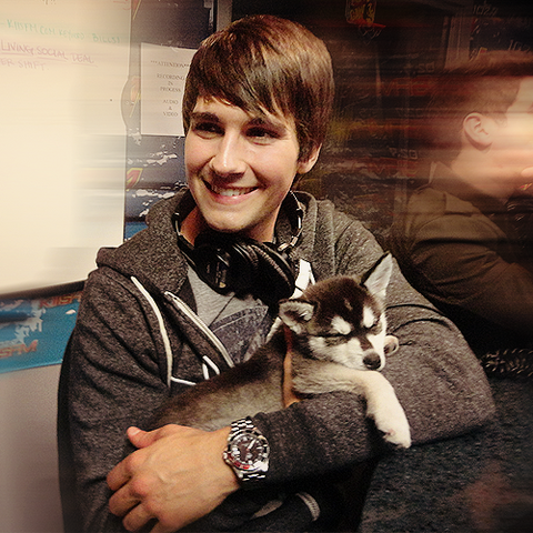 File:James-Maslow-Fox.png