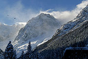 Caucasus