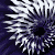 Spell repel