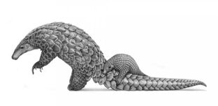 New Image Pangolin.5