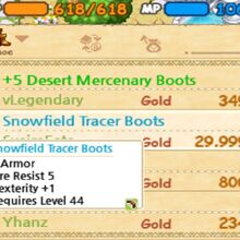 Snowfield Tracer Boots Imo The World Of Magic Wiki Fandom