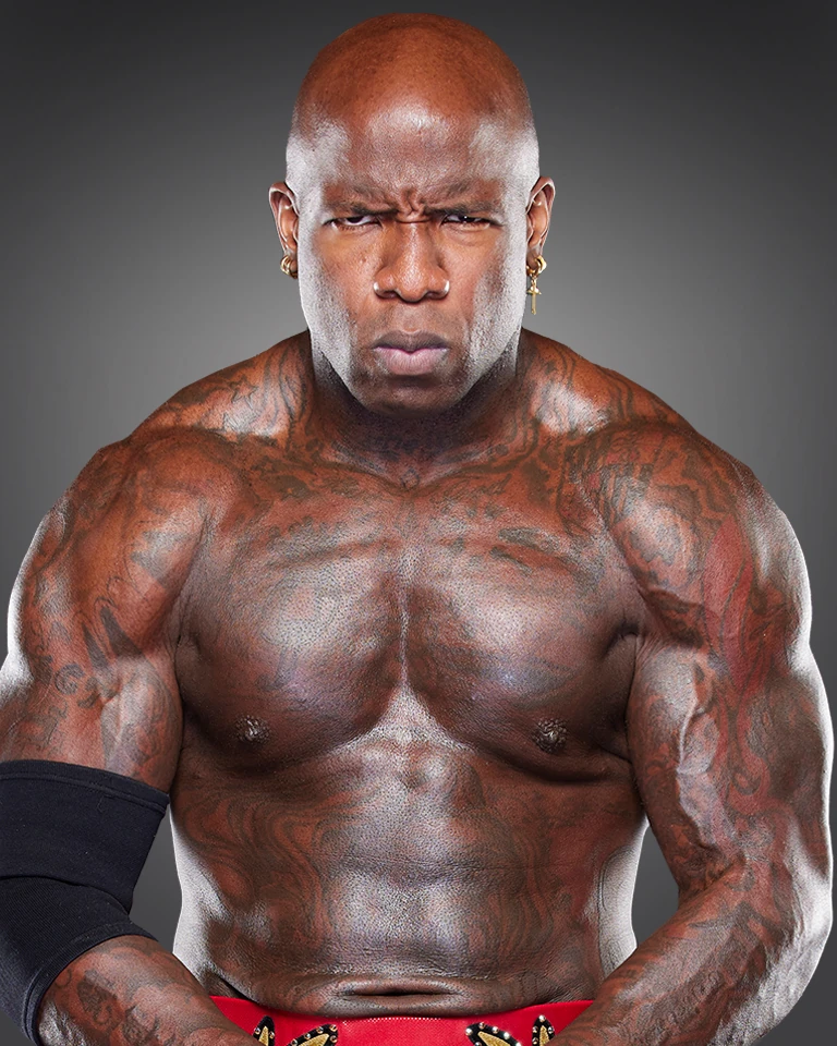 moose-impact-wiki-fandom