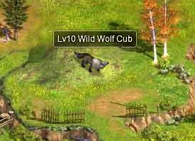 Level10wolfcub