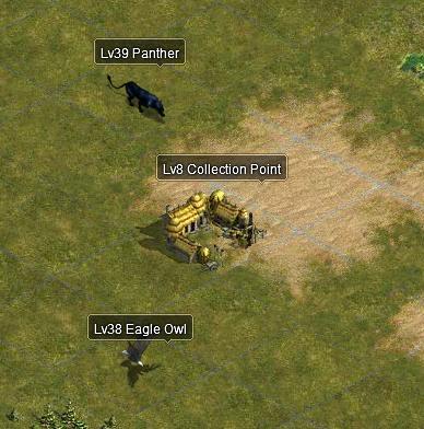 Collectionpoint