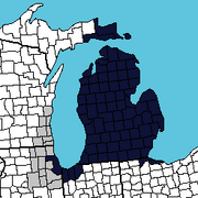 1979