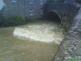 Teme River 2007
