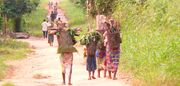 Women returning from their gardens Basankusu