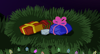 Q11hiddenpresents