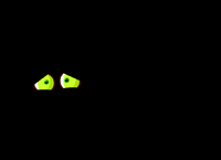 UniverseOff
