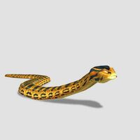 Anaconda Impossible Creatures Wiki Fandom
