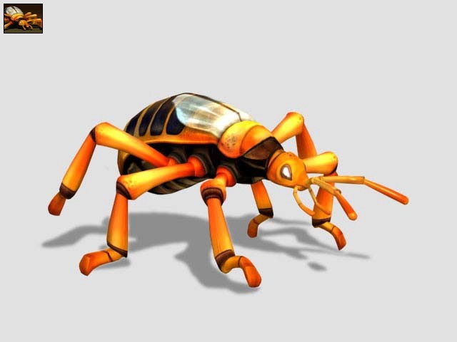 bombardier beetle grounded