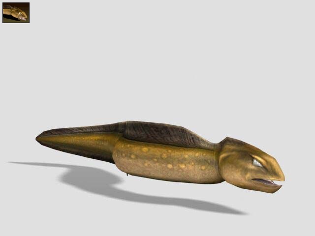 Electric Eel | Impossible Creatures Wiki | FANDOM powered by Wikia
