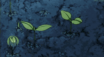 Grow