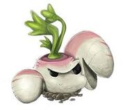 Parsnip