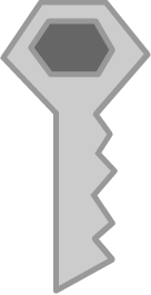 Flash Key