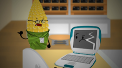Cobs and MeBook