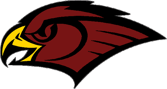 EVENT : The Blue Flames vs The Black Hawks | Inazuma Eleven Fanon Wiki | Fandom