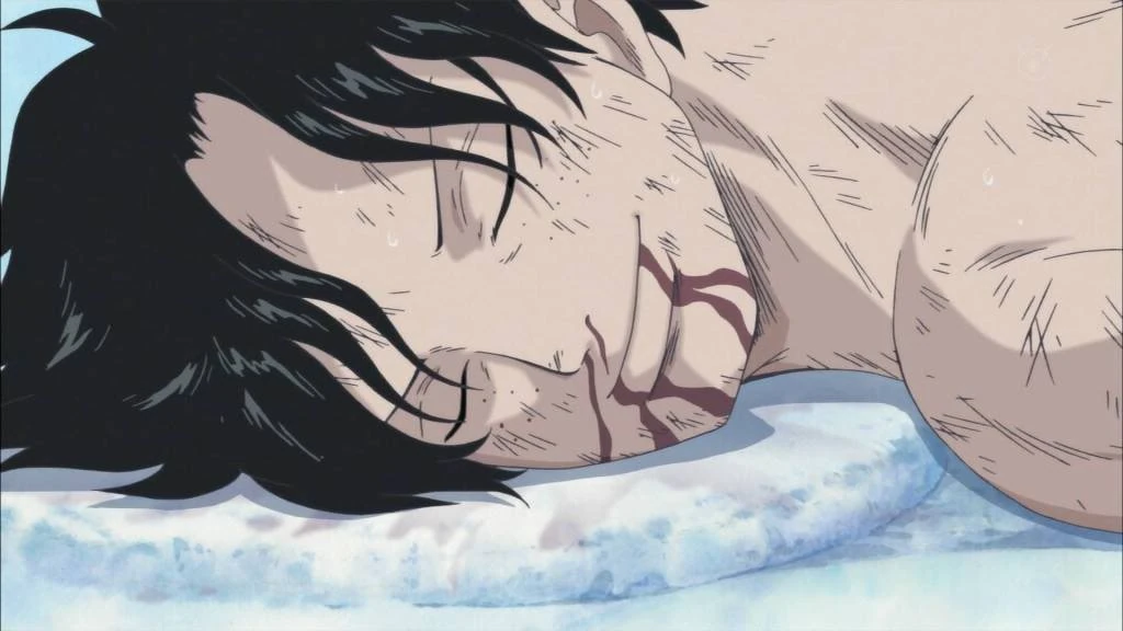 whitebeard tattoo rücken