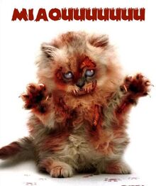 Zombiekitten