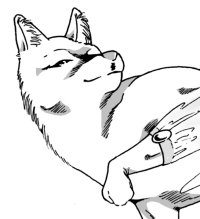 Woofie2