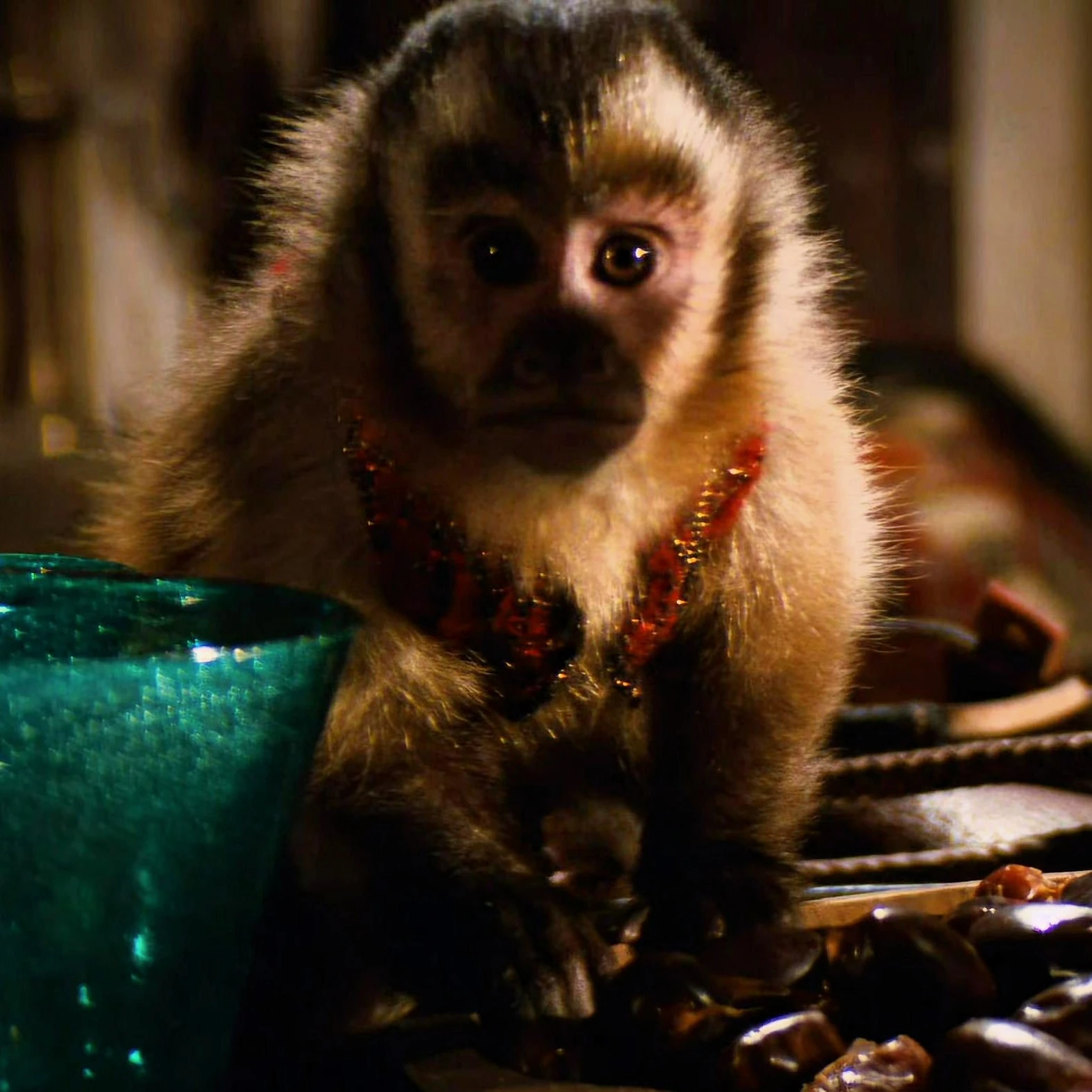 Capuchin monkey | Indiana Jones Wiki | FANDOM powered by Wikia