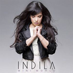 Indila-MiniWorldCover-1-