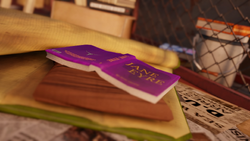 Egzemplarz Jane Eyre na stanowisku snajperskim Fetch (inFamous Second Son)