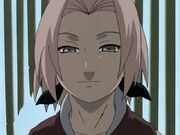 Oh Crap Sakura Syndrome