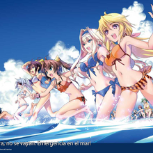 Wallpaper Houki Shinonono Gallery Infinite Stratos Wiki Fandom Free HD