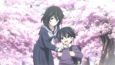 Ichika Orimura Relationships Infinite Stratos Wiki Fandom Sasuke vs itachi / itachi history amv ft. ichika orimura relationships infinite