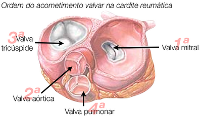 FIG.CORAÇAO2
