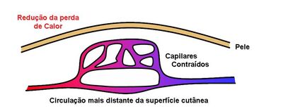 Hipotermia 1