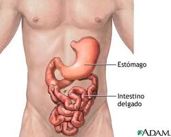 Figura 6aa