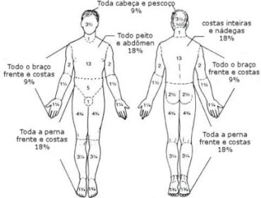Figura 555