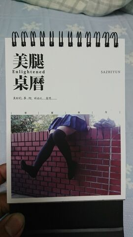 File:Enlightened 美腿桌曆(正面).jpg