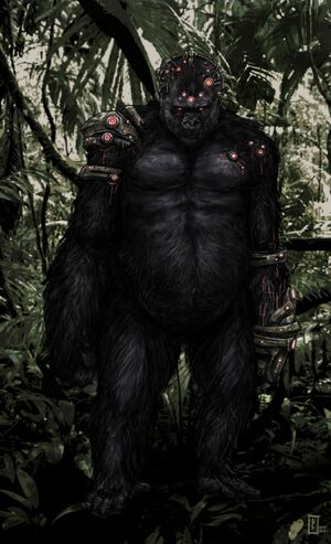 Grodd